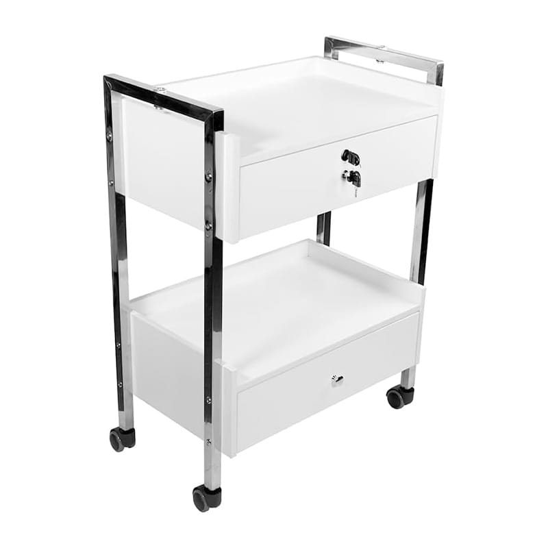 Supreme Medical/Dental Mobile Cabinet – 2 Drawers (1 Lockable) - Image 1