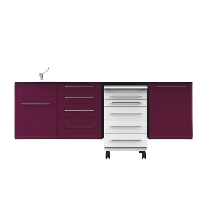 Wall Mountable Clinical Cabinet-AN05
